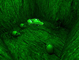 ENTE's PadPool (Q3A)