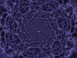 ENTEs PadGarden (EF)