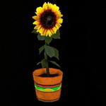 pad_sunflower